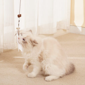 Pet Self-Hi Leakage Food Feeder