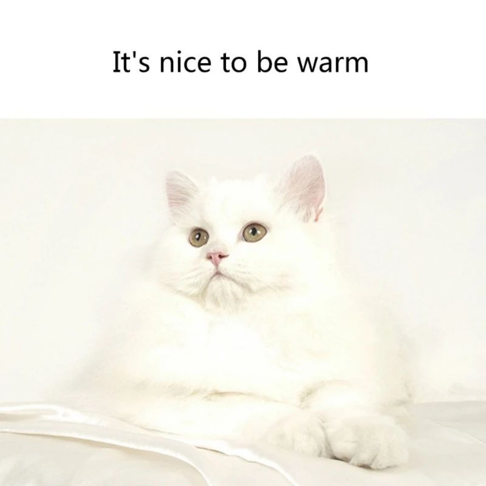 Dog Bed Mat Pet Sleeping Bed For Dog Winter Plush Pet Cushions For Kitten Soft Warm Basket Dog Accessories - Image 8