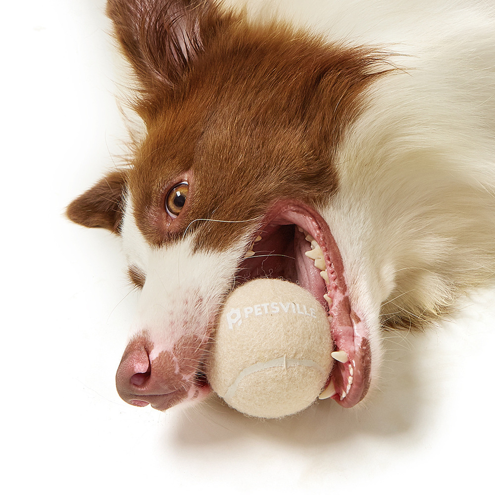 Outdoor Interactive Tennis Dog Toys - Image 2